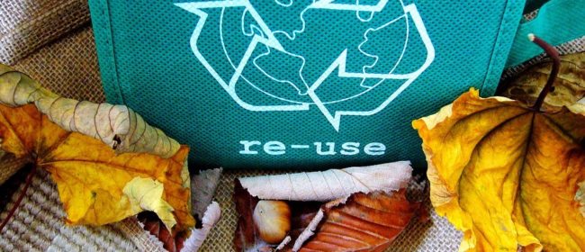 Why Recycling Should Be Everyone’s Thing