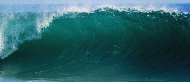 5 Subculture Communities That Are Growing Day by Day 