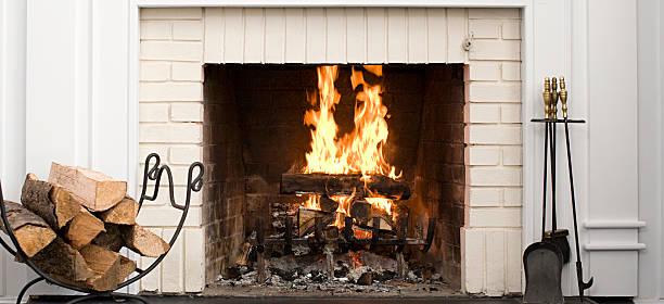 Choosing the Right Firewood for Efficient Heating
